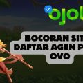 Bocoran Situs Daftar Agen Pakai OVO